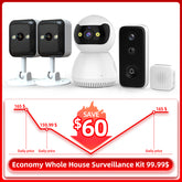 Economy Whole House Surveillance Kit