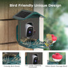 JOOAN S7U-BD   2K Solar Powered Smart Bird Feeder Camera