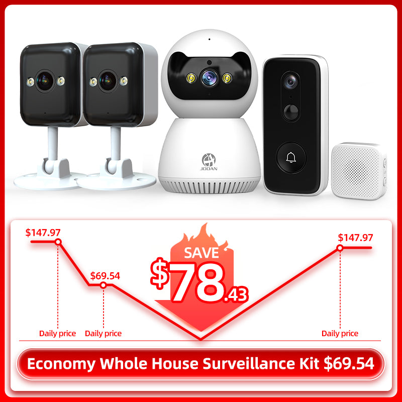 Economy Whole House Surveillance Kit